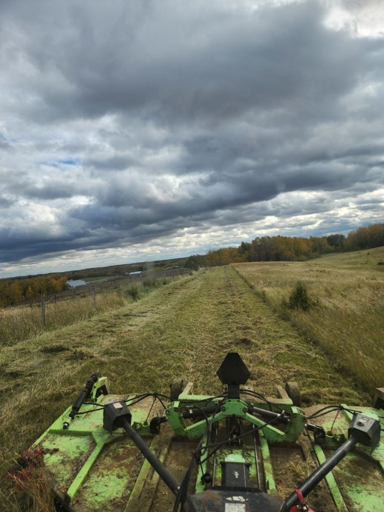 brushlandclearing